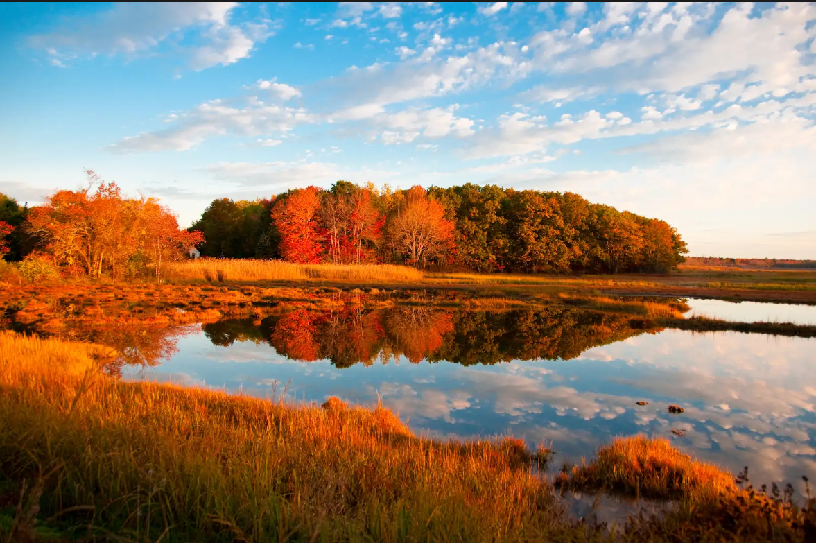 Scarborough Marsh